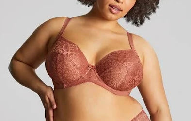 Estel Plunge Bra