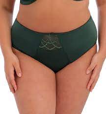 Cate Full Brief