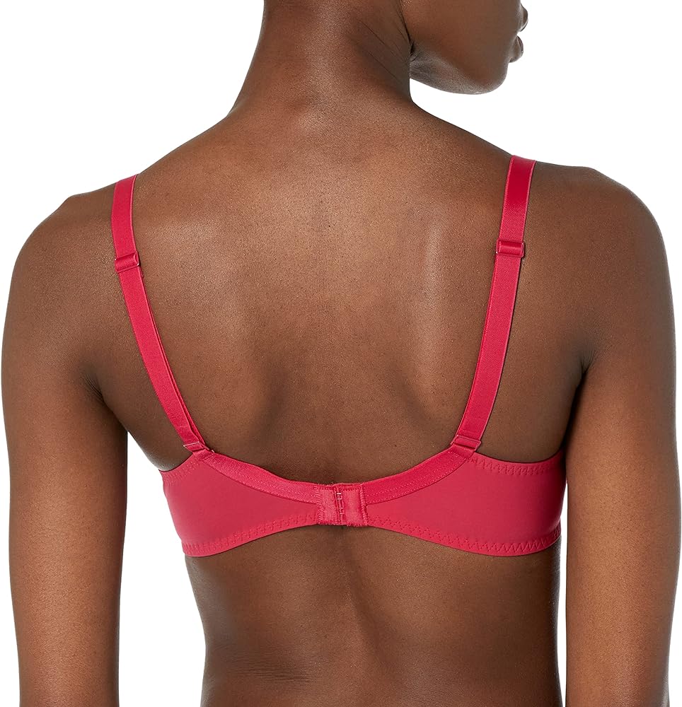 Delice Sheer Plunge Bra