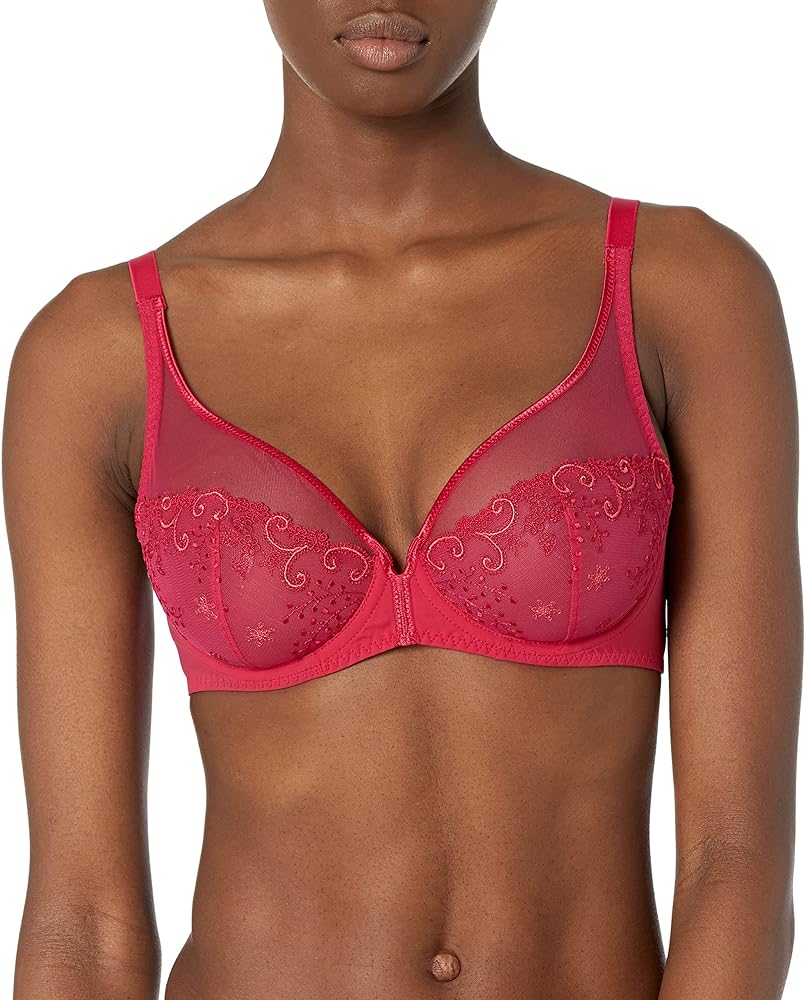 Delice Sheer Plunge Bra