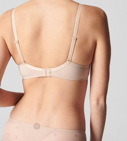 Delice Sheer Plunge Bra