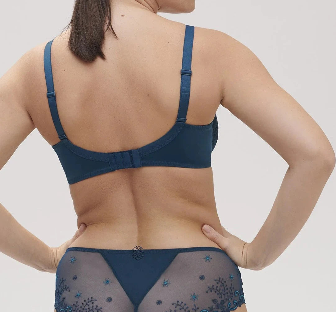 Delice Sheer Plunge Bra