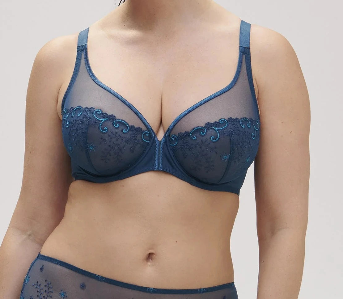 Delice Sheer Plunge Bra