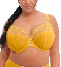 Matilda Plunge Bra