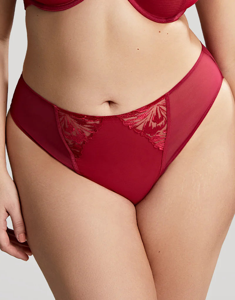 Jaida High Leg Brief