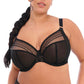 Limited Edition Matilda Plunge Bra