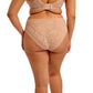 Nerina High Leg Brief