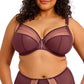 Limited Edition Matilda Plunge Bra