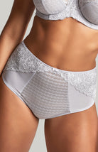 Panache Lingerie Envy Deep Brief in Silver