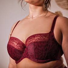 Chi Chi Balconnet Bra