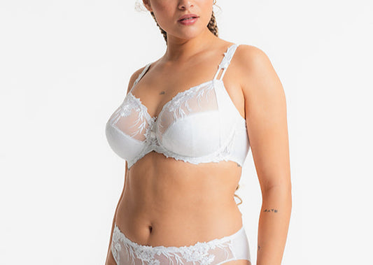 Nympha Full Cup Bra