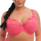 Charley Plunge Stretch Bra